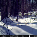 20190217-STC_0009.mp4