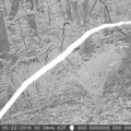 20190711-CAM3_00079.mp4
