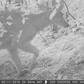 20190711-CAM3_00091.mp4